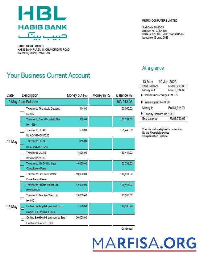 Realistic HBL Bank firm account statement Word and PDF template